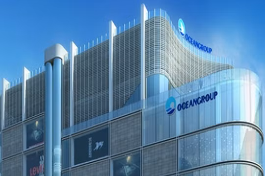 Tập đoàn Đại Dương (OGC) lợi nhuận giảm 55%, phải giải trình 5 phiên tăng trần liên tiếp