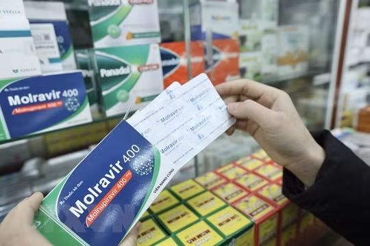 Hà Nội phân bổ khẩn hơn 400.000 viên thuốc Molnupiravir khi F0 gia tăng
