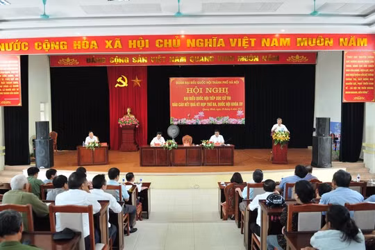 Cử tri Hà Nội kiến nghị sớm tháo gỡ vướng mắc trong giao đất dịch vụ cho người dân