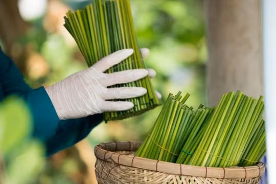 Giảm giá đến 50% sản phẩm thân thiện môi trường