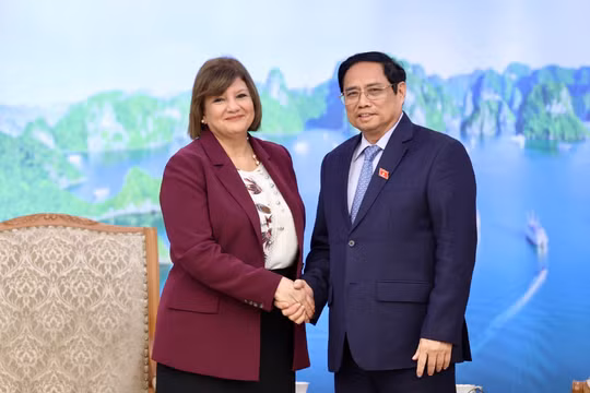 Thủ tướng Phạm Minh Chính tiếp Đại sứ Ai Cập tại Việt Nam