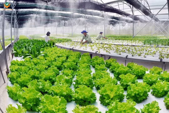 Sau gần 40 năm đổi mới, chúng ta chuyển mình để bước vào kỷ nguyên mới