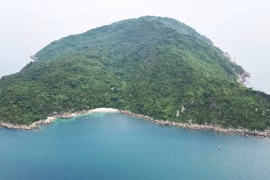 Đà Nẵng muốn làm đảo nghỉ dưỡng siêu sang trên đảo Sơn Chà