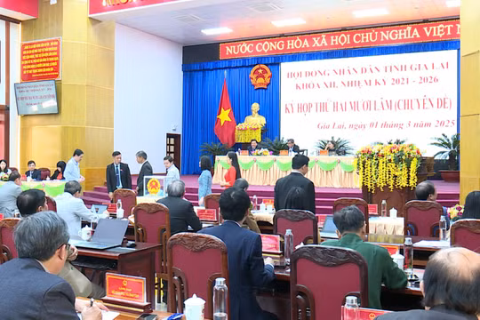 Tỉnh Gia Lai giảm từ 19 xuống còn 13 cơ quan chuyên môn