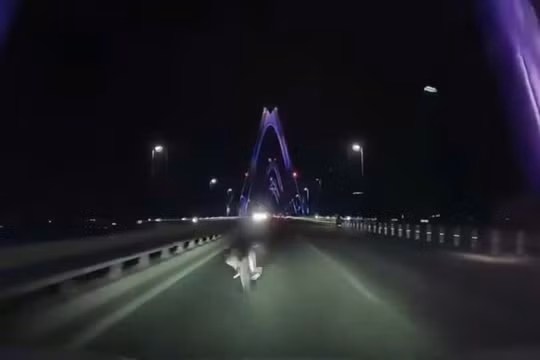 Đi xe đạp ngược chiều trên cầu Nhật Tân, người đàn ông tử vong sau cú tông trực diện ô tô