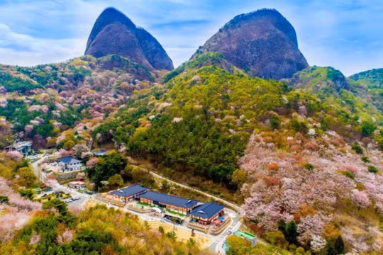 Hàn Quốc đẩy mạnh quảng bá du lịch tỉnh Jeonbuk tại Việt Nam