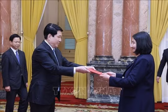 Chủ tịch nước Lương Cường tiếp Đại sứ các nước trình Thư ủy nhiệm