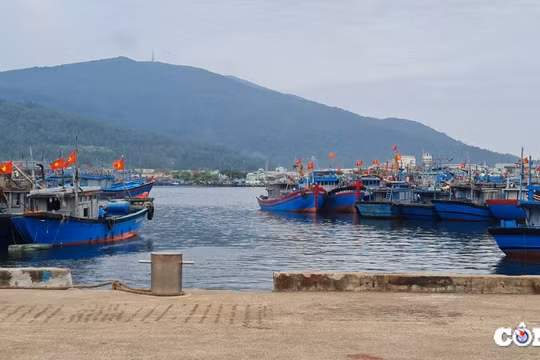 Đầu tư hơn 23.000 tỷ đồng phát triển hệ thống các Cảng biển Đà Nẵng