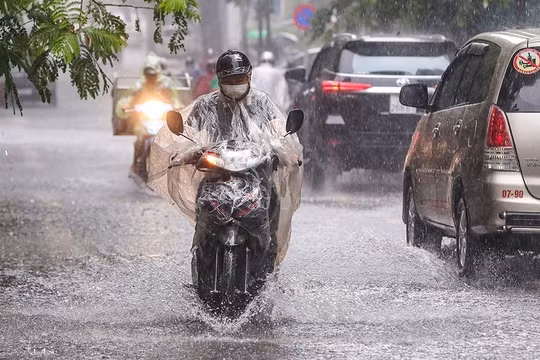 Dự báo thời tiết ngày 1/4: Nam Bộ mưa to, Bắc Bộ trời rét