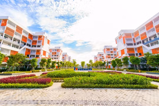 Hàng tỉ đồng học bổng đổ về thu hút sĩ tử tài năng 2025