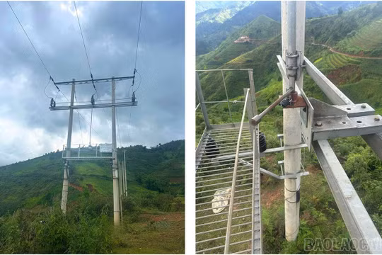 Lào Cai: Bé trai 13 tuổi tự ý trèo cột điện bắt chim bị điện giật bỏng nặng