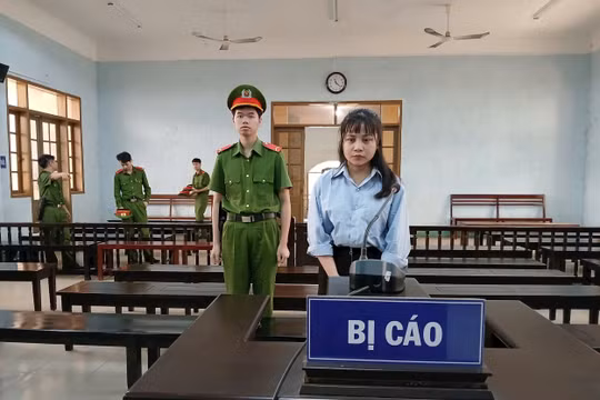 Gia Lai: Lừa đảo hơn 1 tỷ đồng để tiêu xài, người phụ nữ lãnh án 12 năm tù