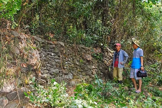 Khai quật khảo cổ 3 địa điểm của di tích Trường Lũy Bình Định