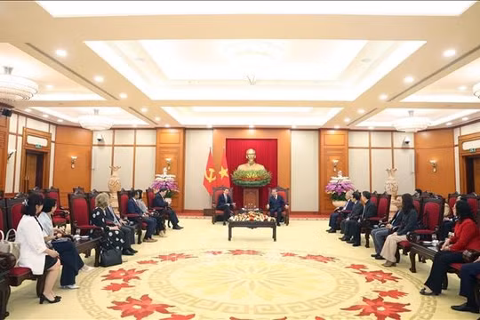 Cận cảnh dàn xe điện đưa đón khách VIP tại Hội nghị Thượng đỉnh P4G