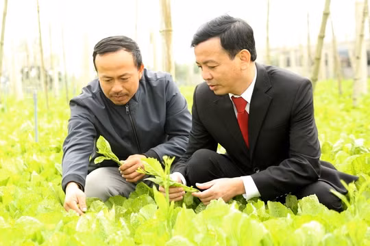 Đồng hành cùng người nông dân kiên trì gây dựng cơ nghiệp
