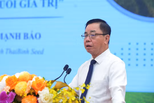 Khi giá gạo thoái trào: Nông sản Việt cần chiến lược bền vững hơn