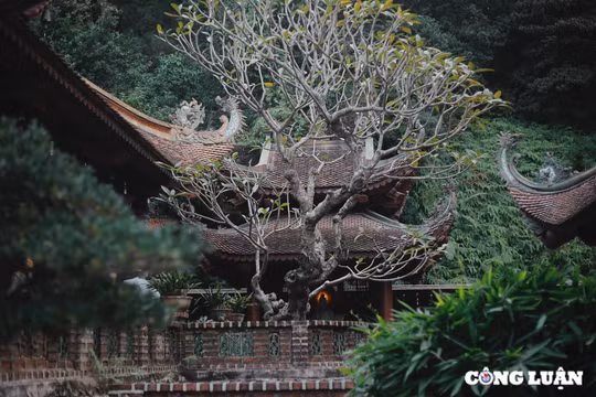 Đầu năm du xuân đến Địa Tạng Phi Lai Tự, ngôi chùa đẹp như chốn tiên cảnh ở Hà Nam