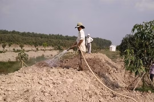 Giảm 30% tiền thuê đất năm 2025 cho các trường hợp trả tiền thuê đất hằng năm