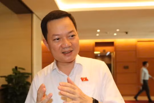 Tăng cường giám sát và phải làm rõ ràng trách nhiệm trong các vụ ‘hàng giả’