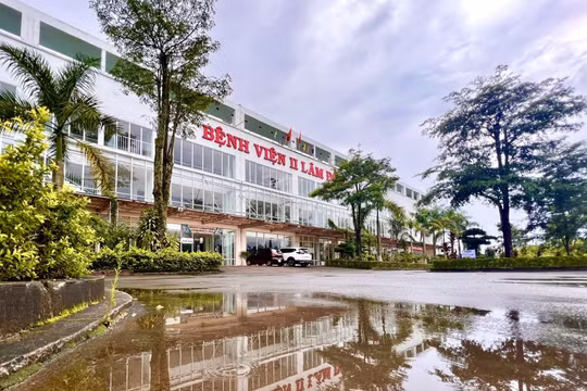 Vi phạm về đấu thầu, Giám đốc và Trưởng phòng Bệnh viện II Lâm Đồng bị bắt tạm giam