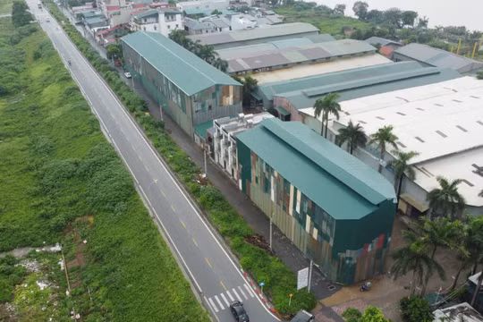 Dãy nhà "lạ" mọc ngoài đê sông Đuống: Hà Nội yêu cầu khẩn trương làm rõ