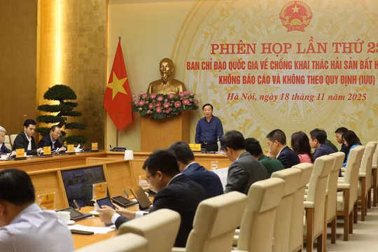Giao Thanh tra Chính phủ rà soát toàn diện pháp lý chống IUU, xử lý dứt điểm 100% trường hợp tồn đọng