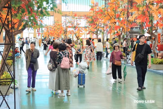 Hà Nội đón 2,27 triệu lượt khách du lịch trong tháng 10/2025