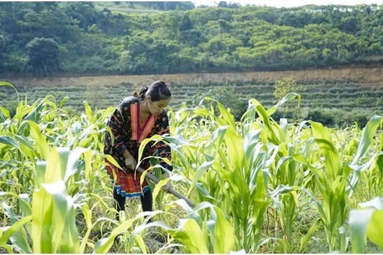 Thái Nguyên phấn đấu giảm tỷ lệ hộ nghèo xuống còn 4,65% vào cuối năm 2025