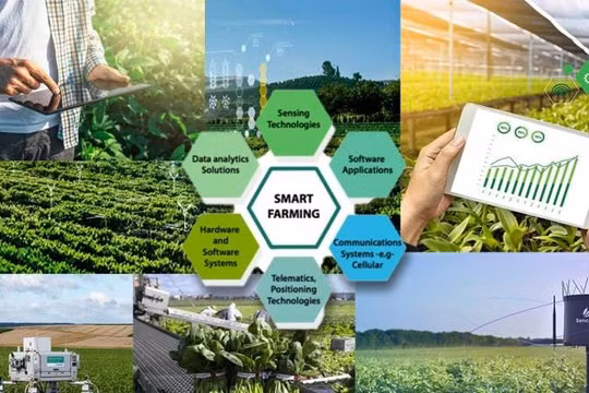 46 tiêu chí đánh giá hiệu quả khoa học, công nghệ và đổi mới sáng tạo