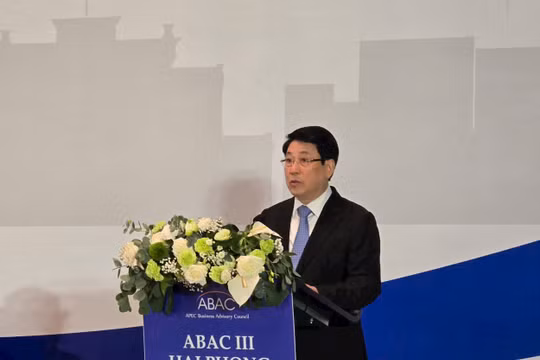 Việt Nam luôn coi trọng hợp tác APEC