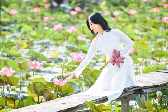 Sen Hà Nội khoe sắc, nàng thơ rộn ràng 'lên đồ' check-in