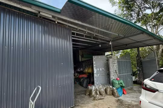 Bắt 'ông chủ' 9x sản xuất thuốc dạ dày, sinh lý giả số lượng cực lớn