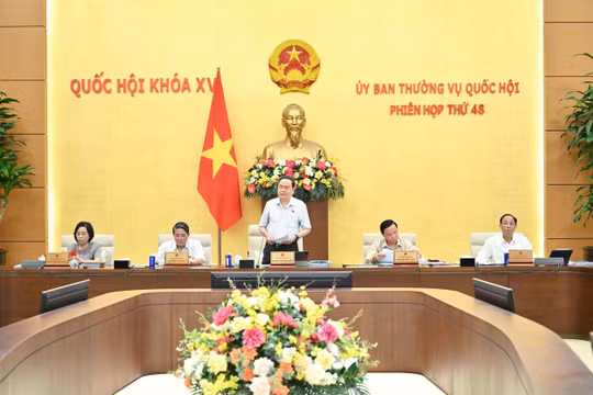 Ủy ban Thường vụ Quốc hội sẽ cho ý kiến về dự án Luật Báo chí (sửa đổi)