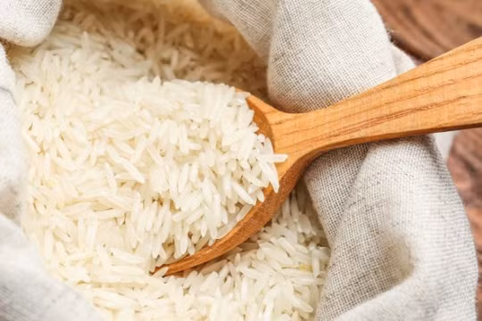 Giá lúa gạo hôm nay 24/10: Giảm nhẹ tại nhiều địa phương, giao dịch trầm lắng