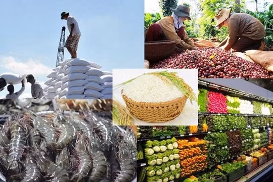 Đề xuất chính sách thuế với hàng hóa nông lâm thủy sản chịu tác động do bất ổn thương mại