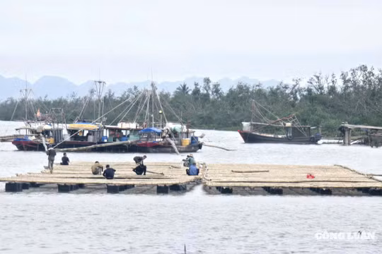 Quảng Ninh hướng dẫn thực hiện thủ tục giao biển nuôi trồng thủy sản