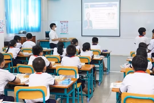 Giảm 20% biên chế không bao gồm viên chức ngành giáo dục và y tế