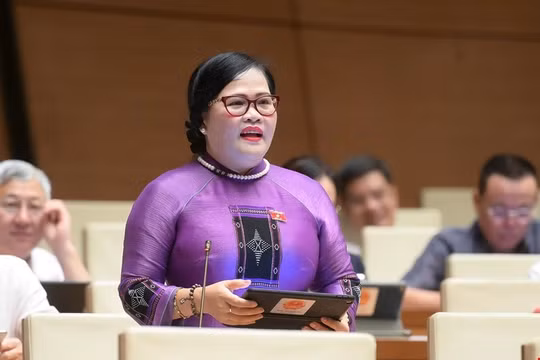 Chính sách pháp luật phải hỗ trợ, thay vì ngăn cấm không cần thiết