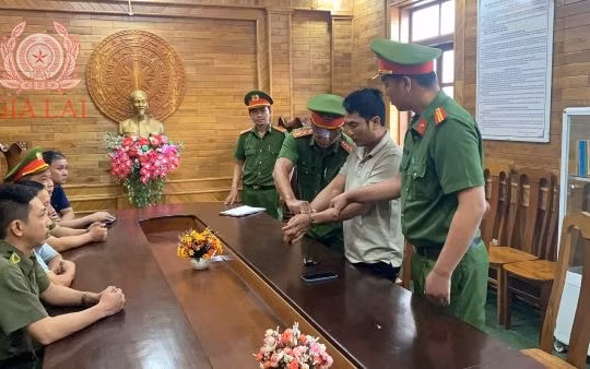 Gia Lai: Hủy hoại 2.400m2 khoai lang của người khác trên đất nhà mình, người đàn ông bị bắt giam