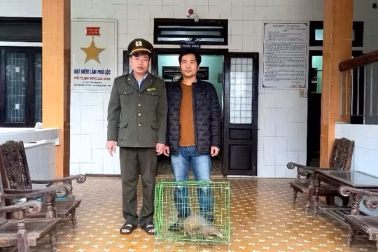 TP.Huế: Người dân tự nguyện giao cá thể động vật quý hiếm