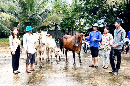 An Giang: Triển khai đồng bộ, hiệu quả Chương trình mục tiêu quốc gia giảm nghèo bền vững