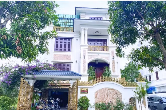 Từ thử thách đến chuyển mình – Gia Minh và khát vọng xây dựng bền vững