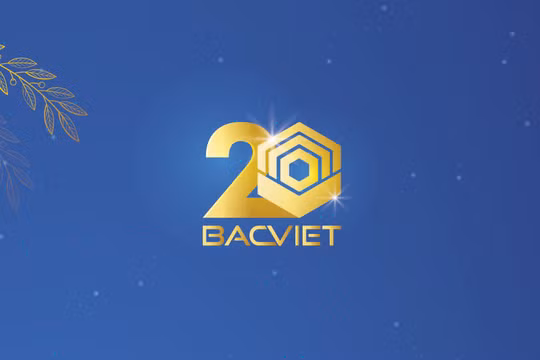 Group Bắc Việt - Công ty của Shark Vương bị xử phạt 365 triệu đồng vì loạt giao dịch nội bộ sai quy định