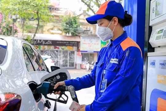 Giá xăng dầu hôm nay 13/6/2025: Giá xăng sát mốc 20.000 đồng/lít