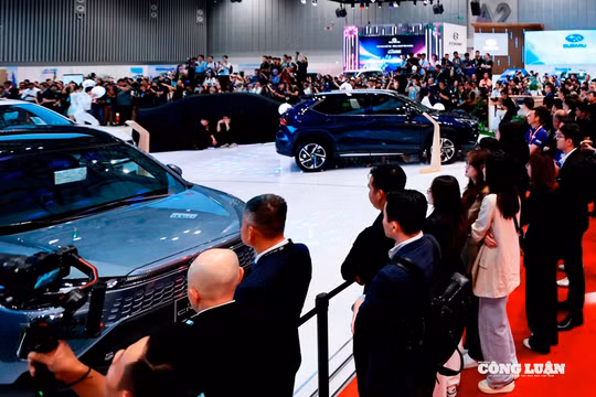 Thị trường ô tô Việt Nam và những điểm nhấn nửa đầu năm 2025