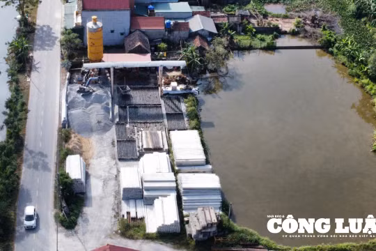 Ninh Bình: Tạm dừng hoạt động trạm đúc cọc bê tông tại xã Khánh Nhạc vì thiếu thủ tục pháp lý