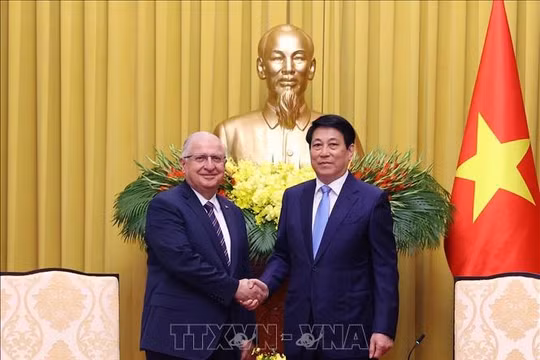 Chủ tịch nước Lương Cường tiếp Bộ trưởng Quốc phòng Thổ Nhĩ Kỳ