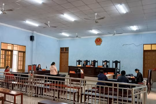 Trộm ô tô của chính mình, người phụ nữ lĩnh án 12 năm tù