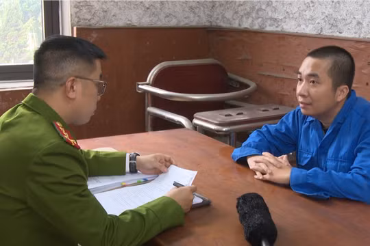 Nhiều phụ nữ bị lừa tiền tỷ vì 'yêu nhầm' doanh nhân trên mạng