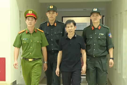 Khởi tố Mạnh ‘gỗ’ ở xứ Thanh